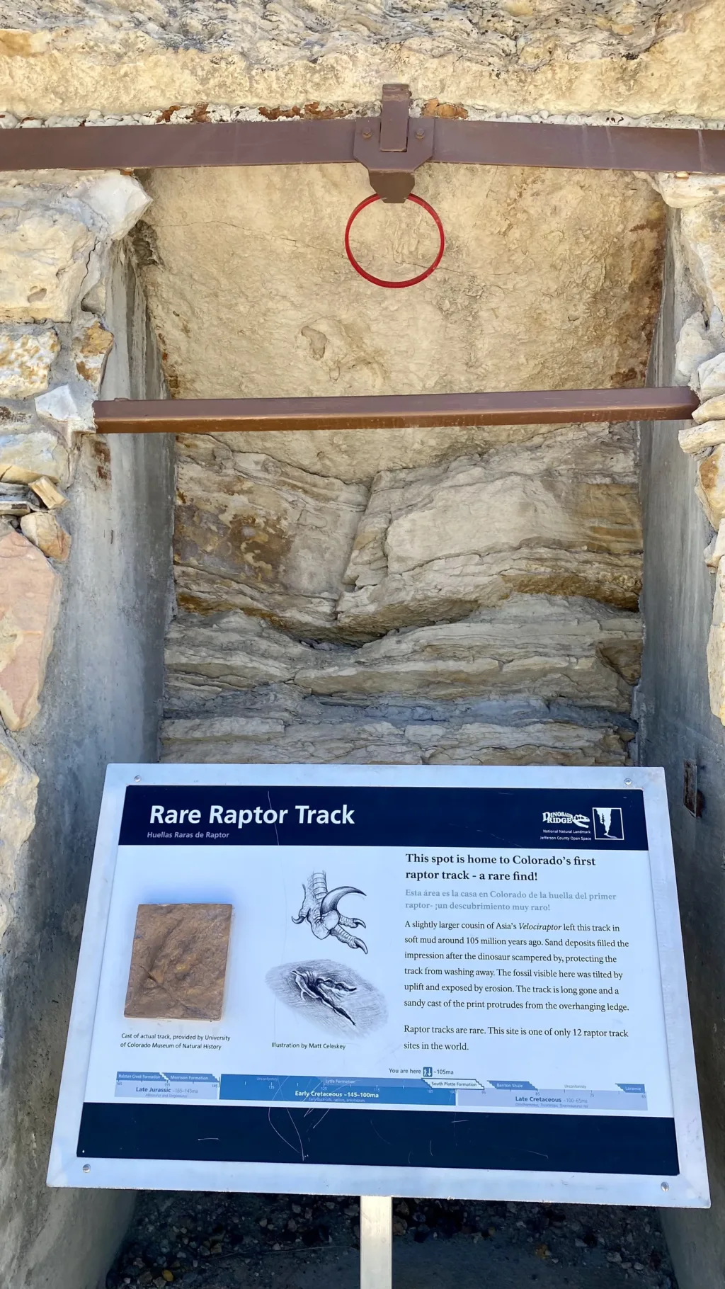Dinosaur ridge rare raptor track display