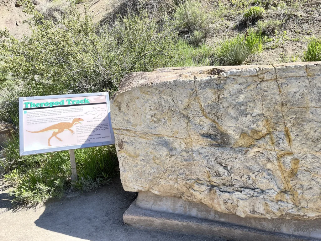 Dinosaur ridge theropod tracks