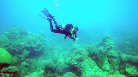 coral sea dreaming diver