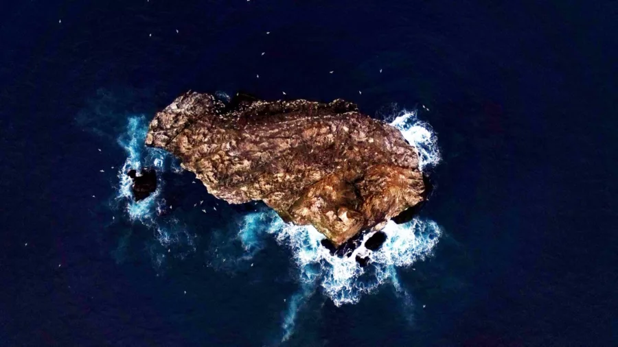 Aerial view of Eldey Island off the coast of Reykjanes in Iceland