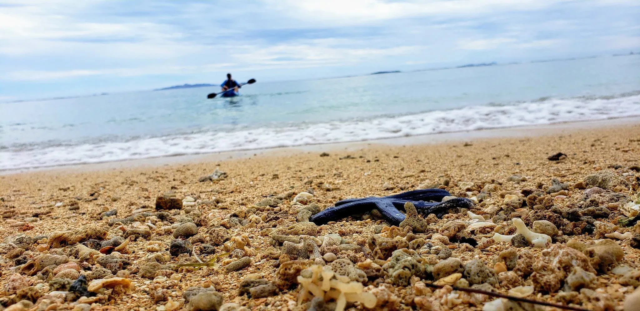 first landing kayak seastar