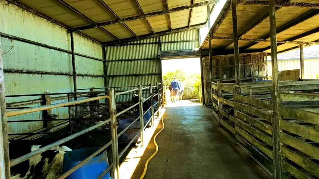 gallo dairyland farm