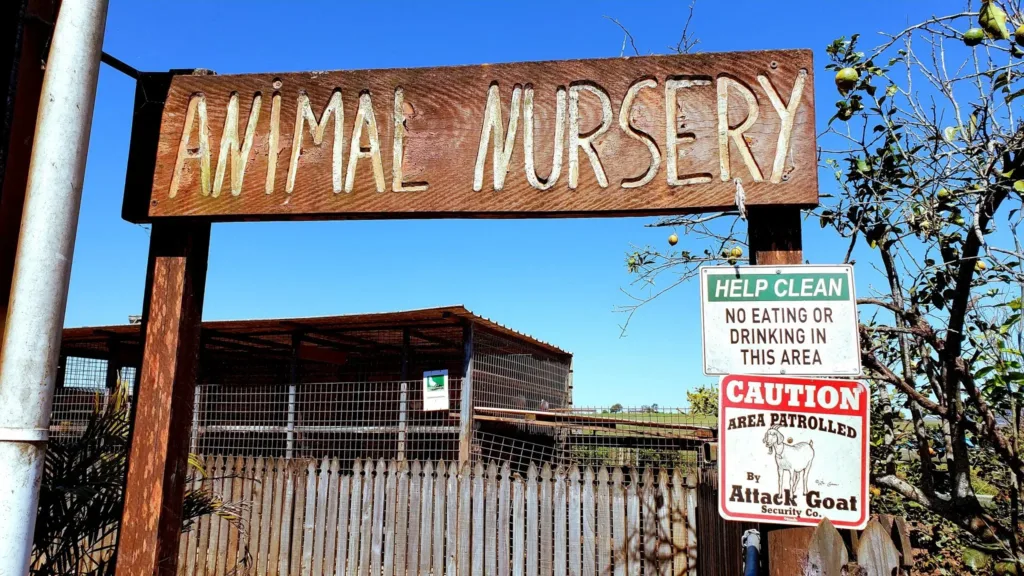 gallo dairyland nursery sign