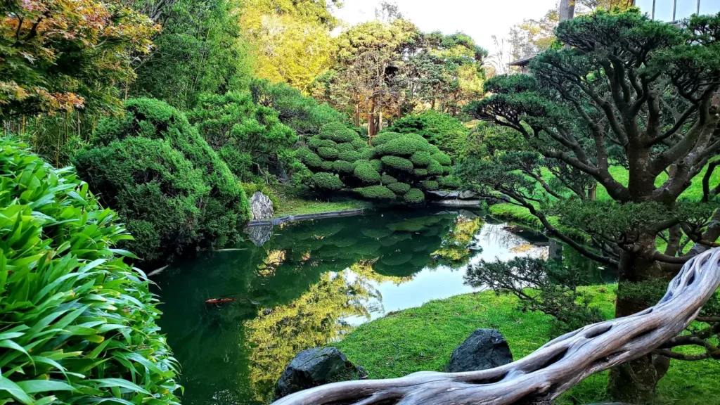 japanese tea garden san francisco mini garden