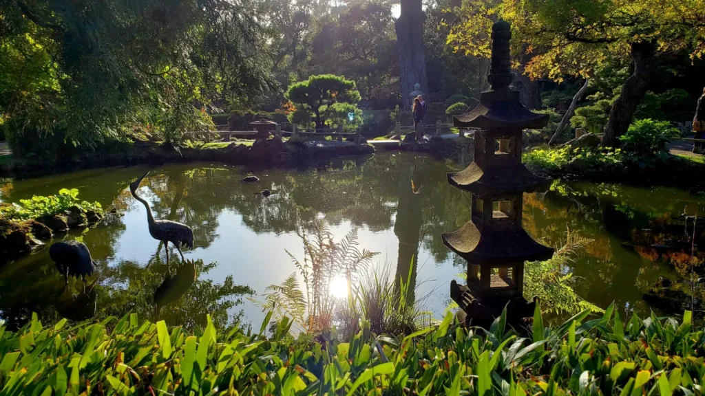 japanese tea garden san francisco pond