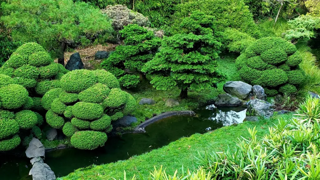 japanese tea garden san francisco tree mini