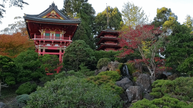 japanese tea garden san francisco waterfall