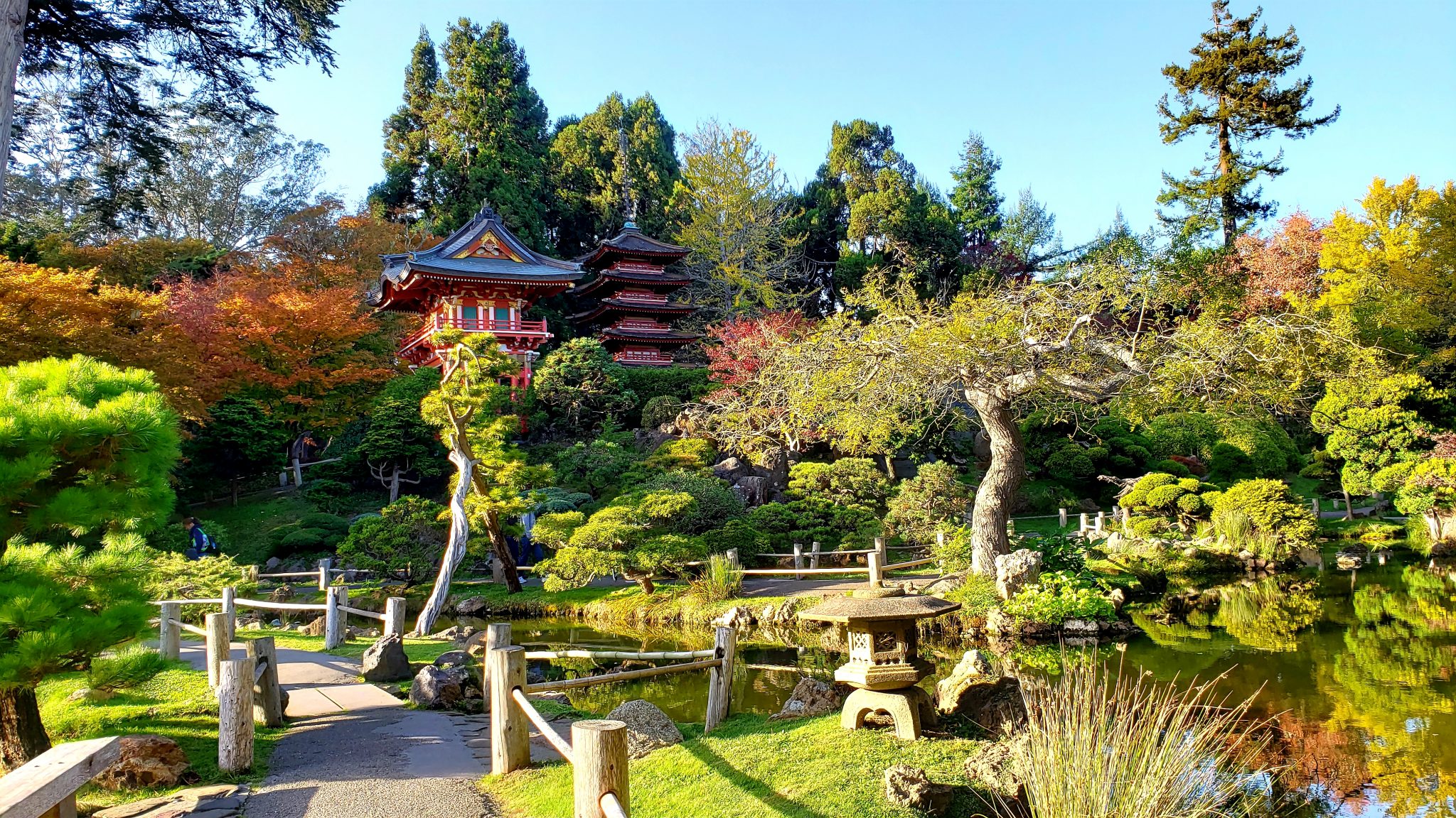 Why explore San Francisco’s Japanese Tea Garden | Road Trip and Travel