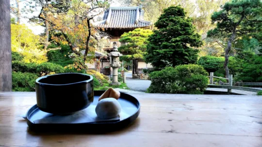 japanese tea house san francisco food views