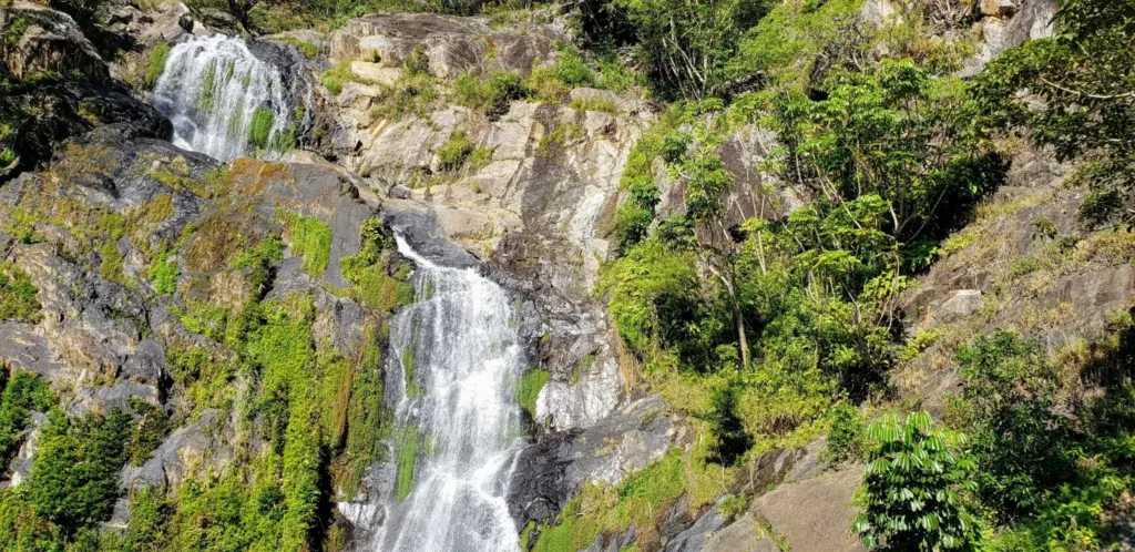 kuranda scenic railway waterfall