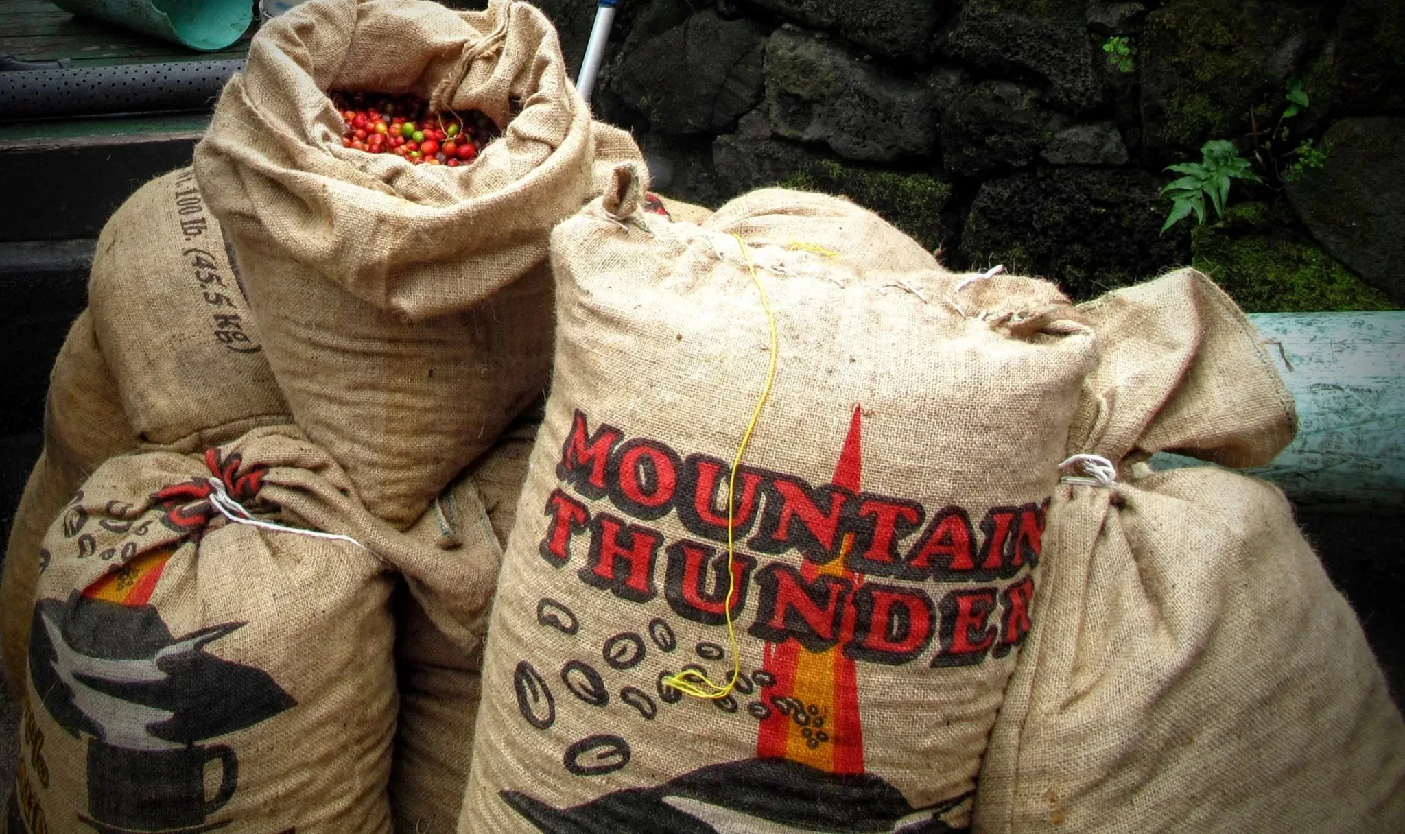 mountain thunder coffee kona