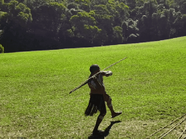 pamagirri spear woomera demonstration