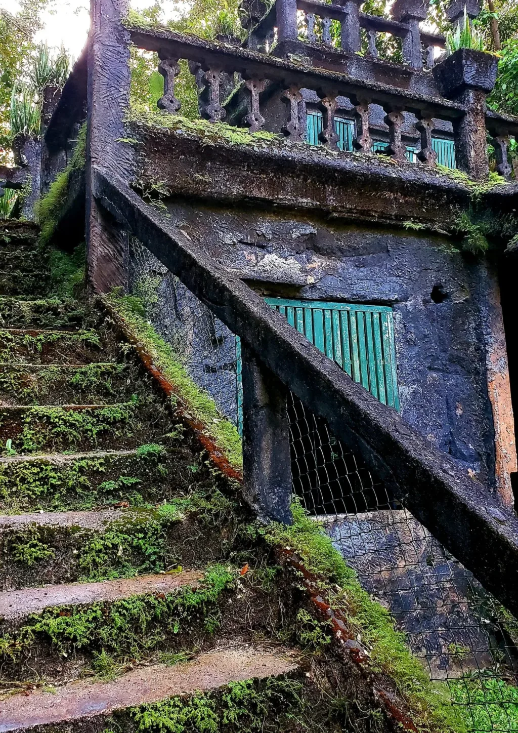 paronella park overgrown staircase
