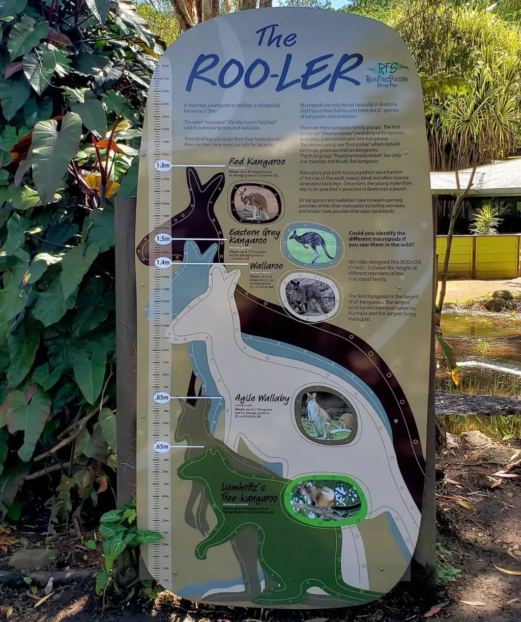rainforestation wildlife sign