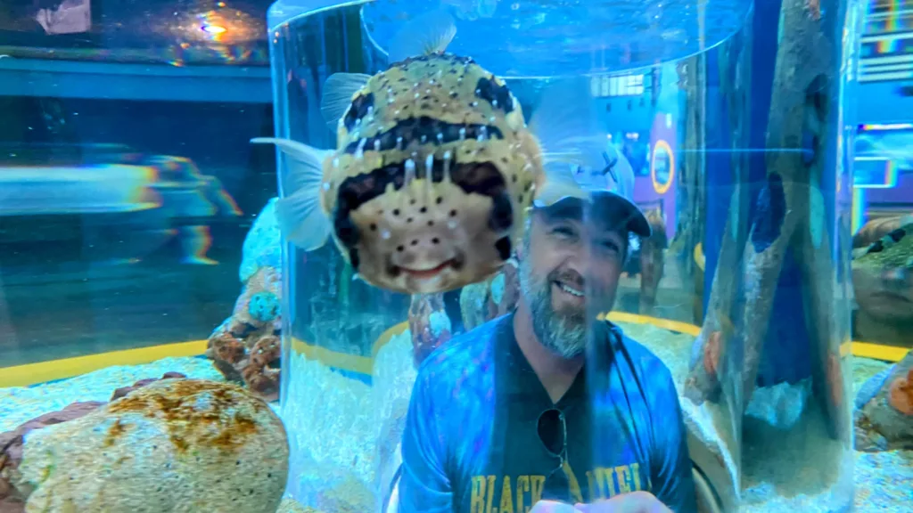 Ripley's aquarium smokies peek-a-boo puffer fish