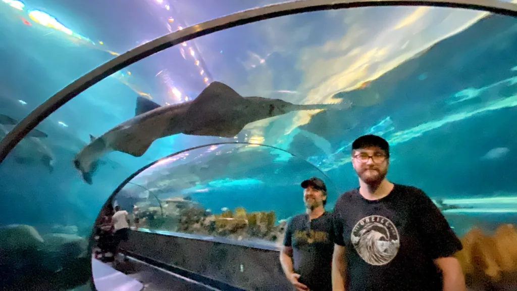 Ripley's aquarium smokies shark lagoon tunnel