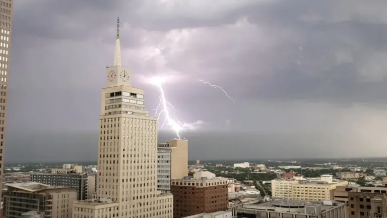 stay alfred elm dallas lightning