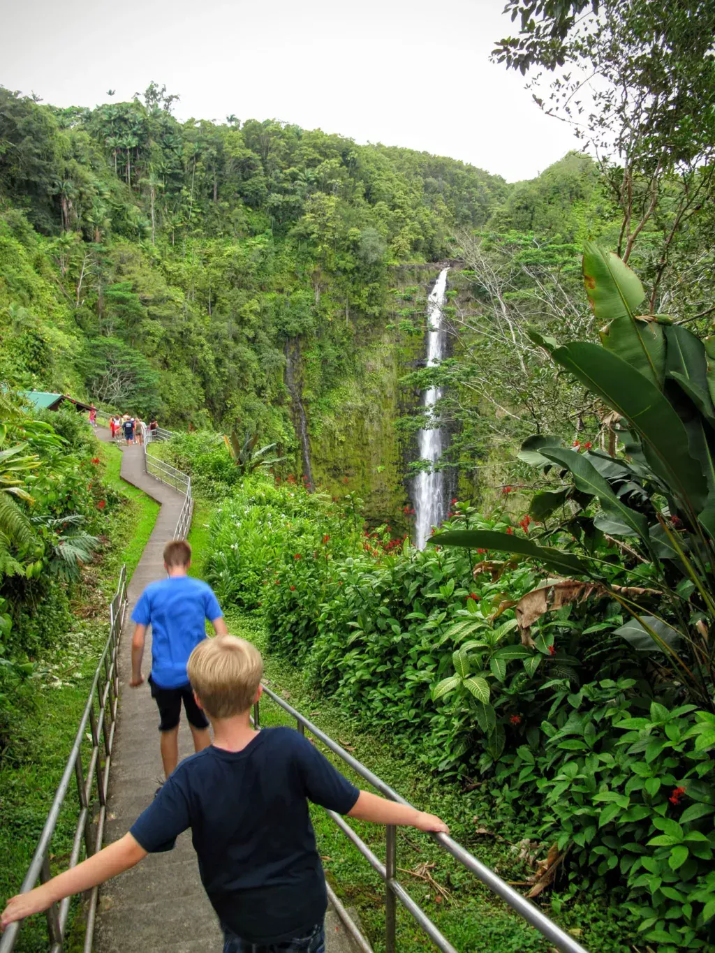 akaka falls path waterfall