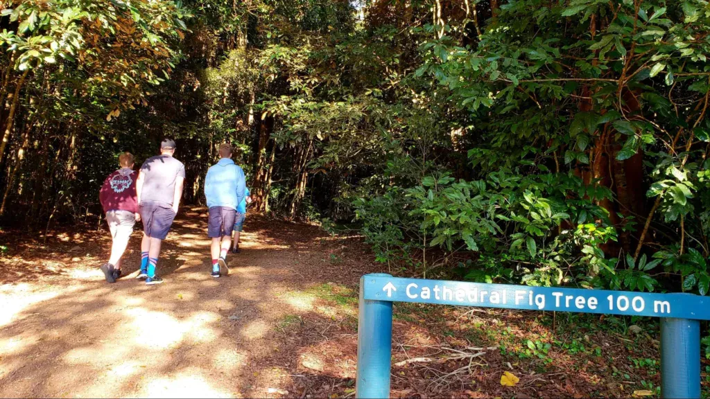 cathedral fig trail