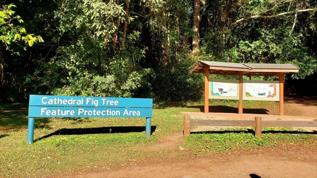 cathedral fig tree sign entrance