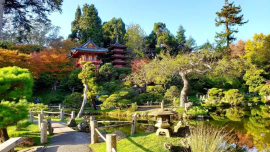 japanese tea garden san francisco