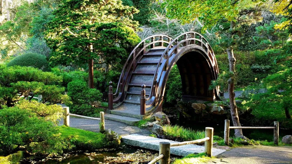 japanese tea garden san francisco drum bridge