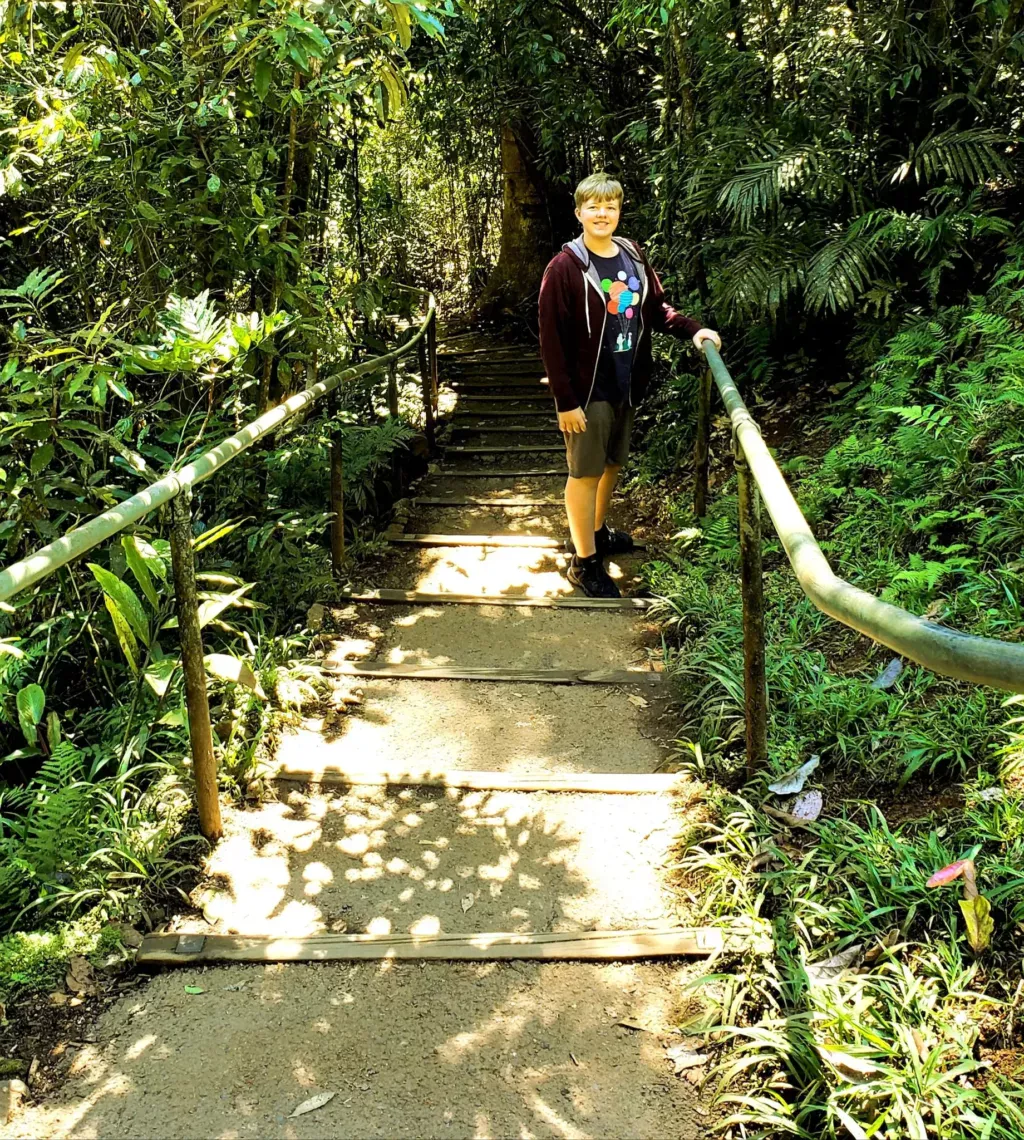 millaa millaa falls stairs