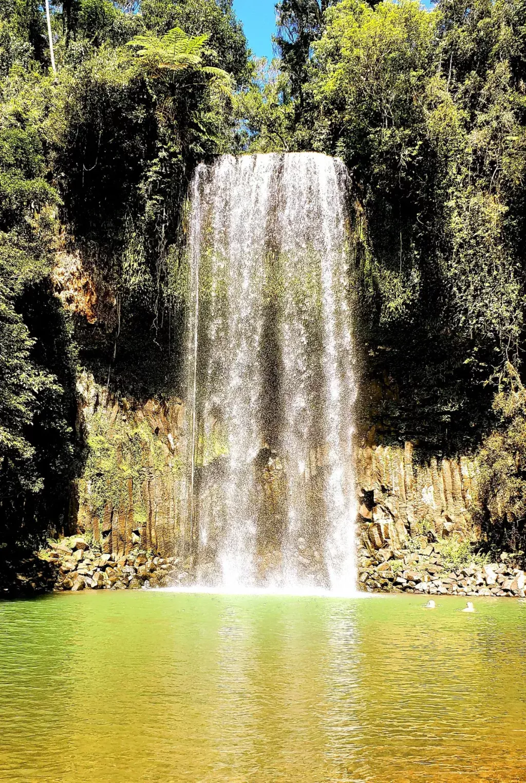 millaa millaa falls tall