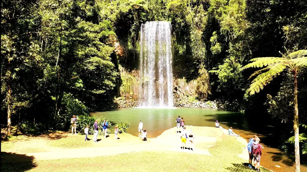 millaa millaa falls wide