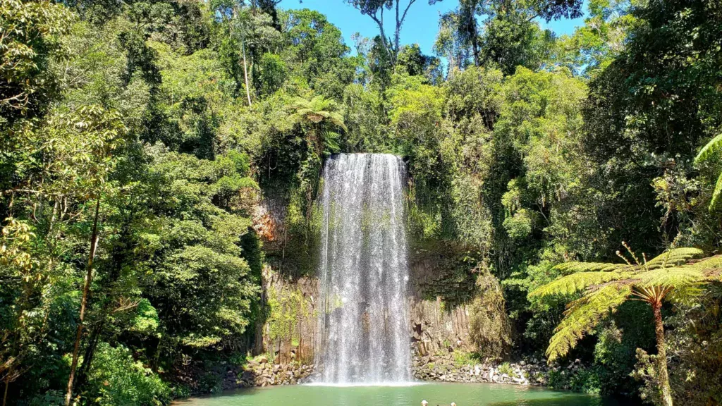 millaa millaa waterfall