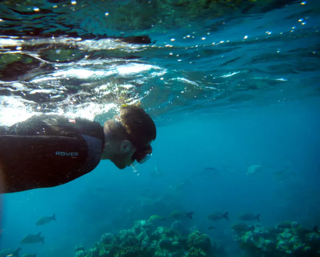 milln reef snorkel josh