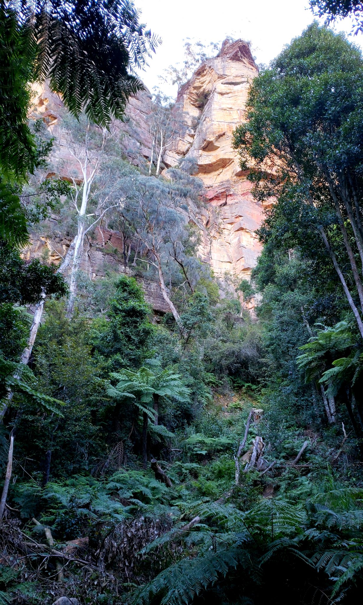 Scenic World Blue Mountains Tours | Road Trip And Travel