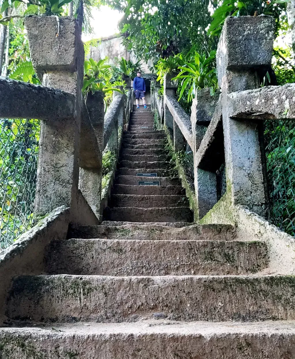 paronella park grand staircase