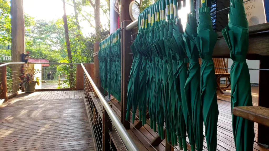 paronella park umbrellas