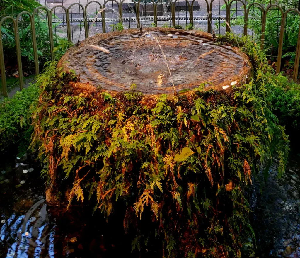 paronella park wishing well