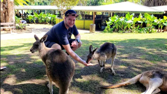 rainforestation kangaroo feeding