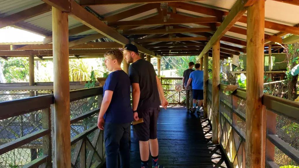 rainforestation wildlife boardwalks