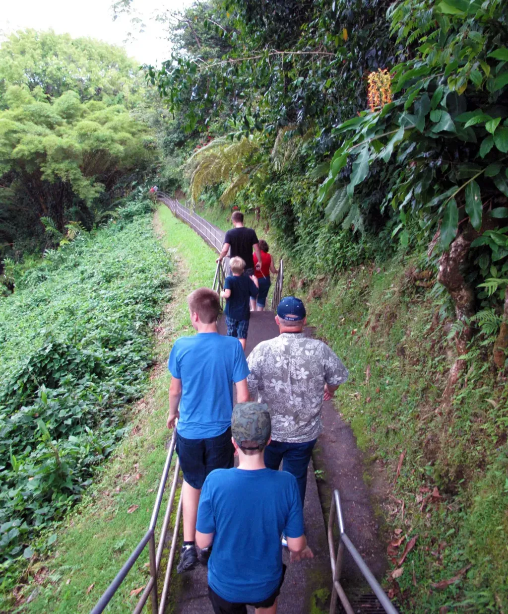 staircase akaka falls