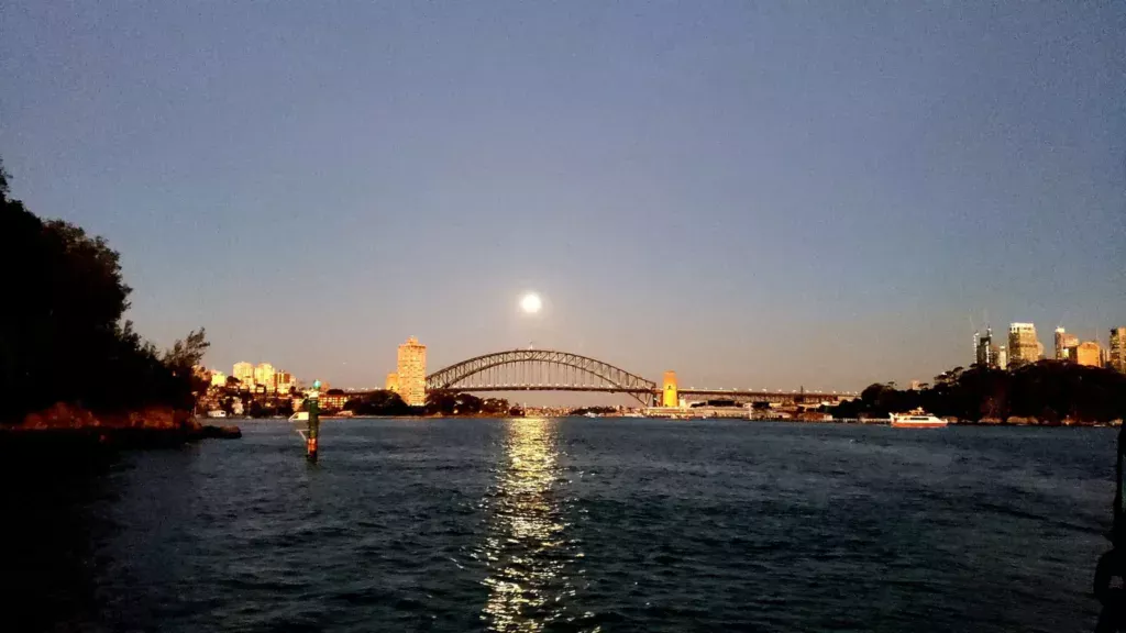 sydney tall ship twilight cruise