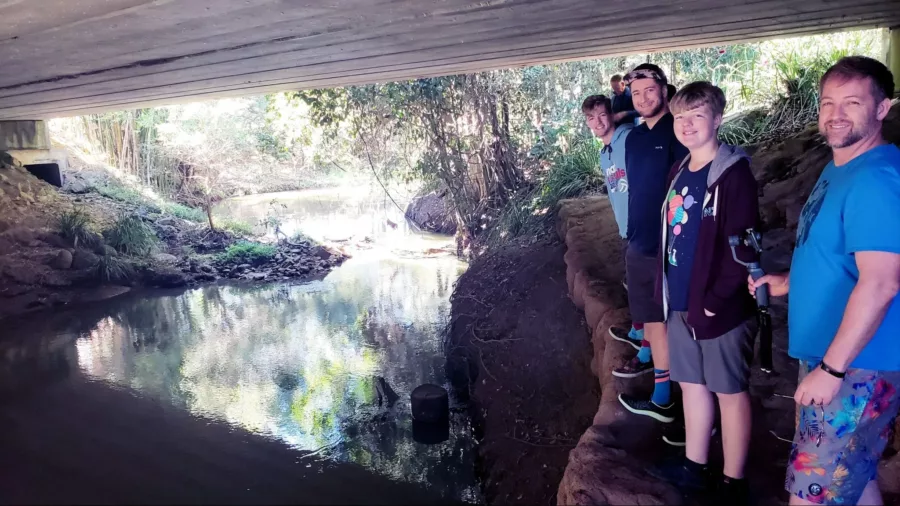 yungaburra platypus family